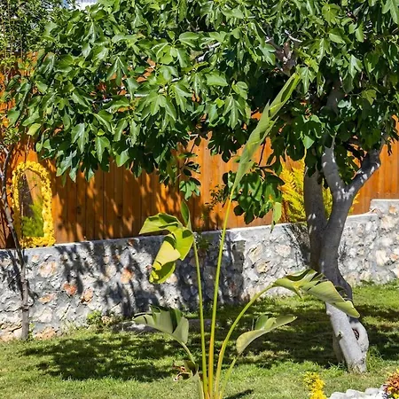 Very Cute Detached In Uezuemlue Village Of Kas